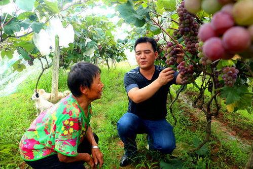 方山吃瓜最新事件爆料